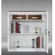 New design 2 Drawer steel office furniture file cabinet steel vertical password lock file cabinet
