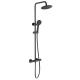 Wall Mounted Exposed Valve Showers Matt Black Dual Control Exposed Mixer Shower