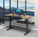 80 kgs Dual Motor Electric Sit Stand Desk for Office Wood Grain Design Double Motors