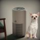 OEM Small Room Pet Air Purifier For Pet Hair And Mold 60dB