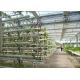 Plastic Film Low Cost Greenhouse , Hydroponic Plastic Greenhouse Accessible To Remove