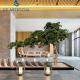 Indoor Landscape Window Artificial Decorative Trees / Japanese Bonsai Pine Tree