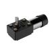 30 Rpm Stepper Automobile Dc Motor With Worm Gearbox