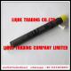 DELPHI common rail injector EJBR05301D, EJBR06101D for YUCHAI FS0001112100011