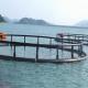 White Aquaculture Net Cage Long Working Life Eco - Friendly Feature