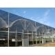 Thermal Insulation Single Span Tunnel Plastic Film Greenhouse