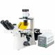 200X Laboratory Inverted Fluorescence Microscope Halogen Lamp Microscopes A16.0901