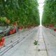 UV Radiation Protection Layer 120km/H Multi Span Greenhouses