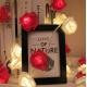 Foam Rose IP65 LED Garland String Lights For Valentine's Day