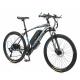 Electric 36V Lithium Battery Bicycle 250W Lockable Suspension Fork Ebike Mount