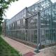 Vegetable Plant Commercial Glass Greenhouse Span Width 9.6 / 10.8 / 12m