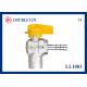 Female X Hose Connector PTFE Seal Brass Gas Valves