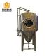 500L Mini Beer Brewery Equipment 2mm Exterior Shell Turnkey / Customeized Plants Type