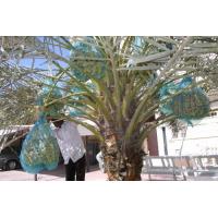 Green Woven Mesh Bag Jujube Date Collecting Net Bags With Drawstring