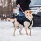  				Waterproof Dog Jacket, Soft Fleece Lined Dog Coat for Winter 	        