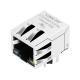 RJ-101G50E 10 Pin Rj45 Connector , Gigabit Jack LPJG0801GENL