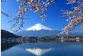 Japan reveals Visit Japan Year 2011 Winter Campaign