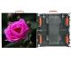 Full Color SMD P3.91 Outdoor Advertising LED Display 1R1G1B Simple Structure