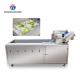 185KG 2.6KW  Ozone disinfection vegetable washing machine Commercial units school canteen air bubble washing machine