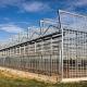 Galvanized Steel Agricultural Glass Greenhouse Venlo / Gothic