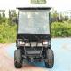 ODM Electric Interstate 2 Seater Golf Cart With Under Seat Storage