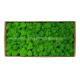 Environmental-Friendly Silk PE Faux Fake Moss Wall Art Panels 450g/Set