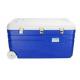 Plastic Cooler Box Plastic IBC Container For Fresh Food Blue Color Large Capacity