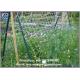 1.8x18m 24x24cm mesh size white cucumber yam support plant trellis net vegetable support net