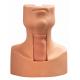 Tracheostomy Puncture Intubation Model with Simulated Trachea and Neck Skin for Training