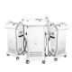 Professional Multifunction Beauty Machine For Tattoo Removal SHR IPL RF ND YAG Laser