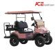 2 - 4 Seat Capacity Club Golf Cart Independent Suspension With Self Adjusting Brakes