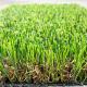 13850 Detex Artificial Grass Carpet Synthetic Turf For Garden Landscape