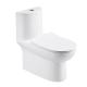 Dual Flush Elongated One Piece Toilet 1.3Gpf Modern Ceramic Material