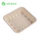 140ml Disposable Biodegradable Ugarcane Bagasse Tray For Food Vegetable Paper Plate