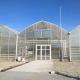 12x20 12 X 8 12 X 6  Polycarbonate Greenhouse With Cooling System And Heating System Roof Film Side