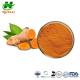 HPLC Curcumin 95% Tumeric Root Extract Orange Powder Curcuma Longa Linn