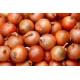 6cm Spicy Osteoporosis Proof Natural Fresh Onion