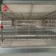 4 Tiers Chicken Cage Full-automatic Equipment Customized Solutions Available Adela
