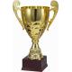 Sports awards trophys  AW-982