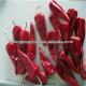 Premium Red Chilli Ring From Seeds-Enriched 0.5-1.5cm