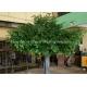 Realistic 4m Fiberglass PE Fake Artificial Banyan Tree For Mall Park Decor