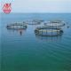 Imported Polythene Floating Fish Cage High Strength Anti Aging For Marine Use
