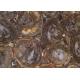 Dark Color Petrified Wood Slab , Natural Stone Slabs For Round Tabletop