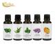 Natural GMP Essential Oils Set Skincare Relax And Improve Sleep