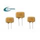 Radial Leaded Series Polymer PTC Resettable Fuse High Voltage Overcurrent Protection