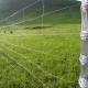 Factory Hight Quality Goat Farming Field Fence For Sheep And Cattle