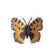 Insect Figures Model Toy Colorful Butterfly Figurines Supplies Cake Toppers Set Toys