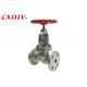 Flanged Globe Valve for Different Industrial and Commercial Applications