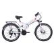 Foldable 48V 10.4AH Electric Bicycle with Aluminium Alloy Frame in Black and White