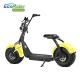 EEC/COC 2 Wheel Electric Scooter 70 Km Range 20 Degree Climb Capability